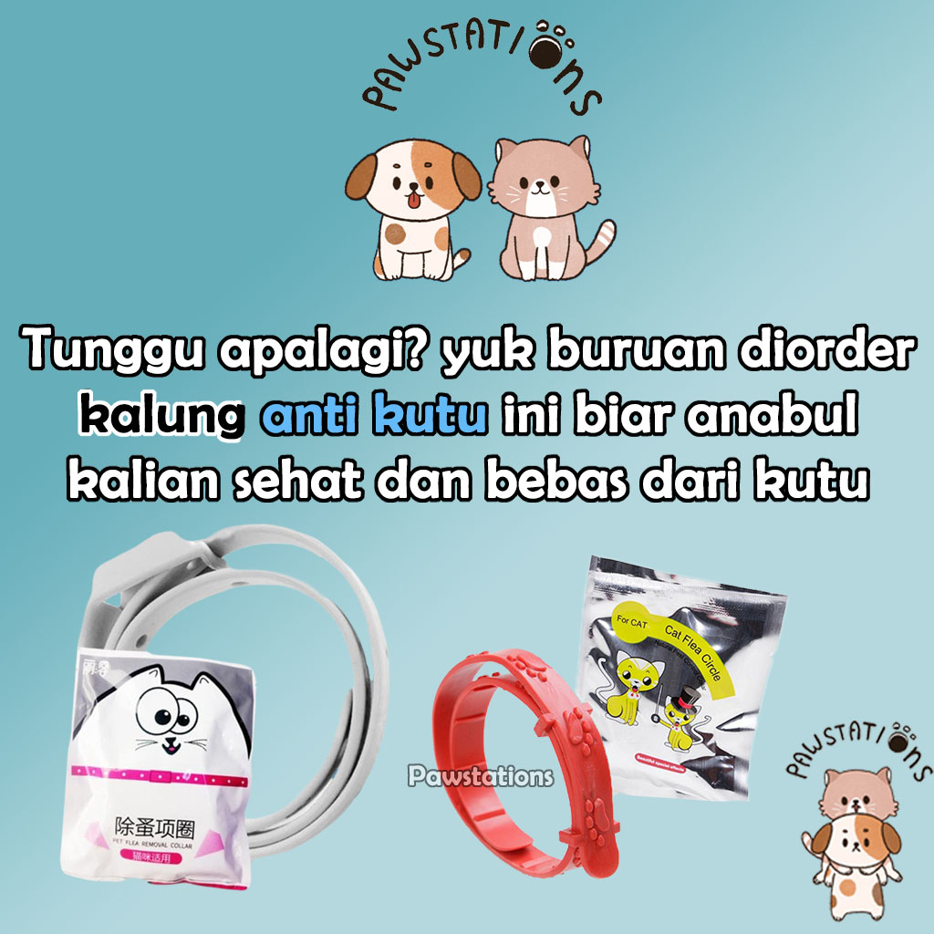 Kalung Anti Kutu Kalung Kucing Anti Kutu Kalung Anjing Anti Kutu