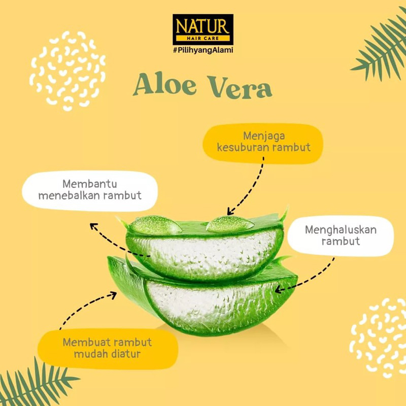 NATUR Hair Conditioner Aloe Vera &amp; Olive Oil 165ML / Kondisioner untuk Menjaga Kesuburan Rambut BPOM