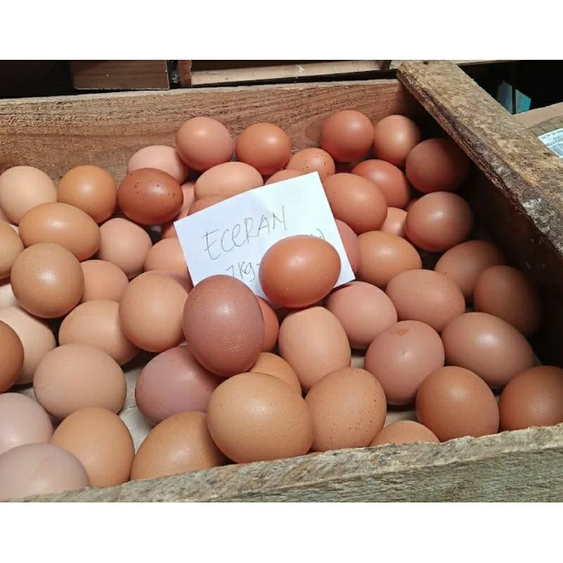 

TELUR AYAM