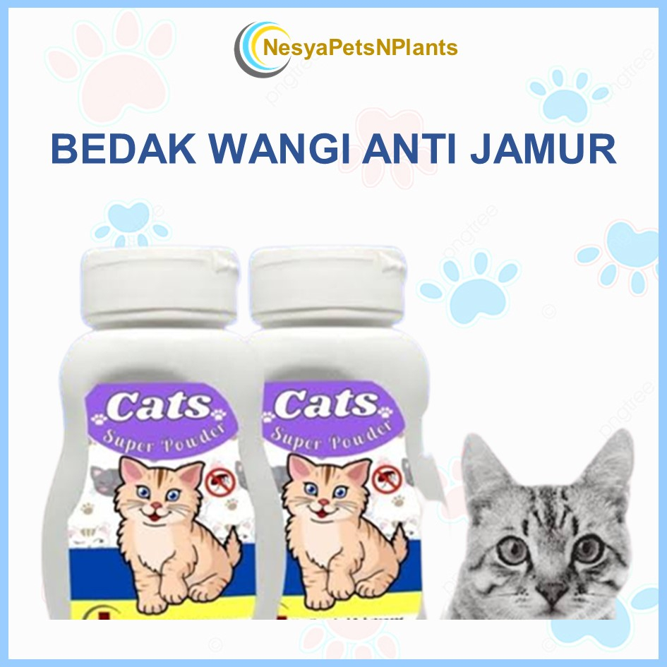 Bedak Wangi Anti Jamur Bau Kucing Cats Super Powder 100 gram