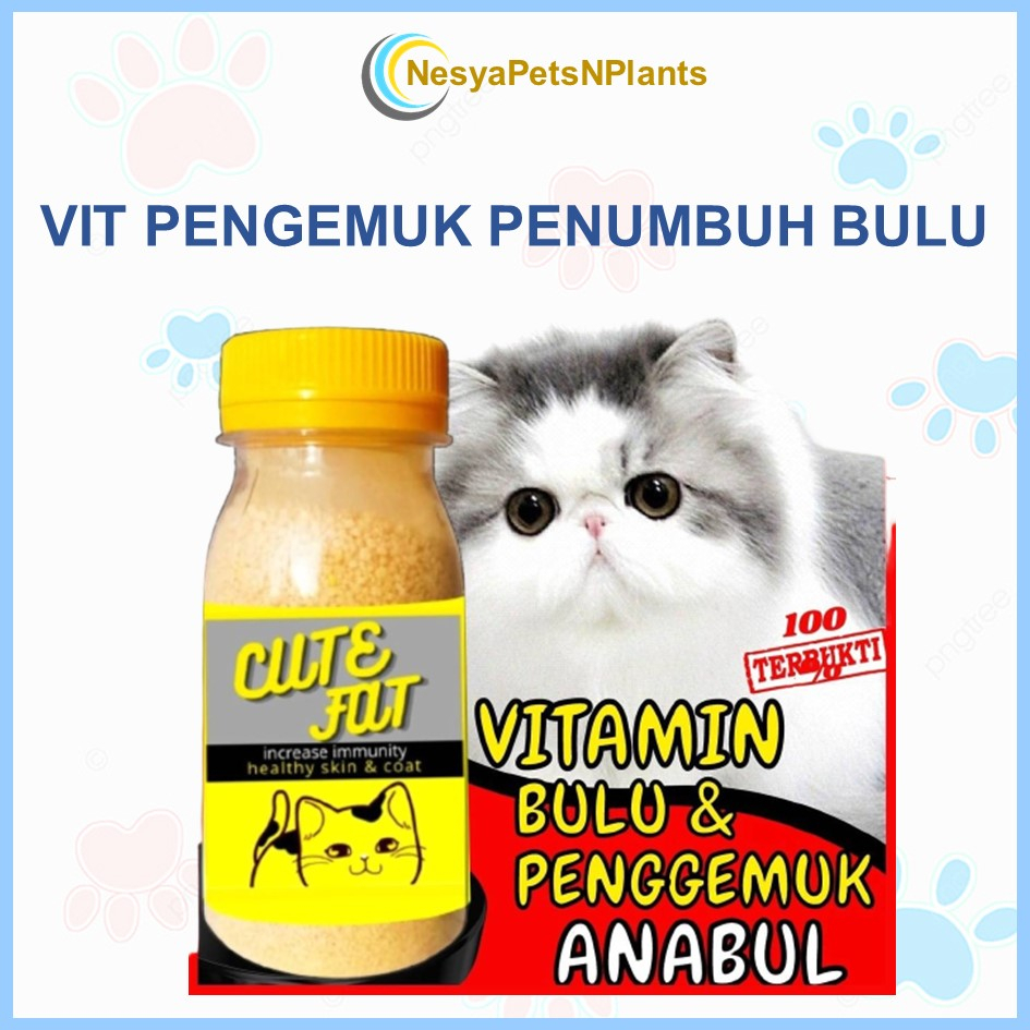 Vitamin Penggemuk dan Bulu Kucing CUTE FAT Penumbuh Bulu Kucing Pelebat Bulu Obat Bulu Kucing Rontok