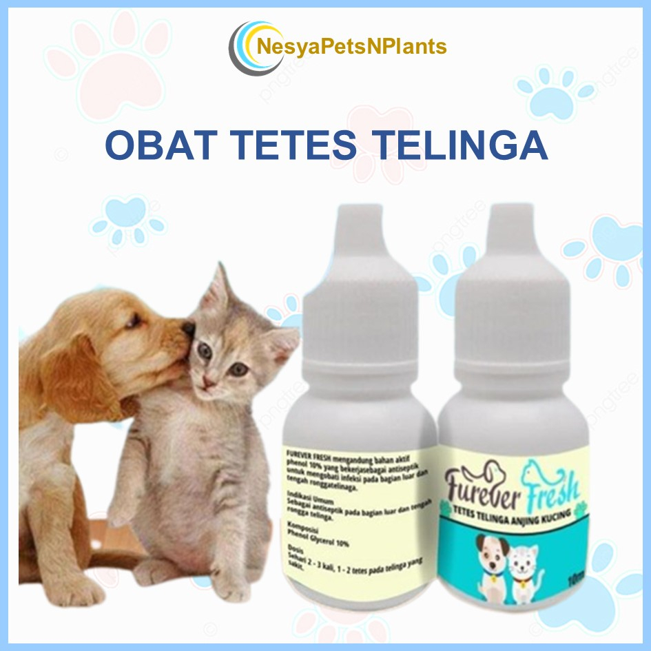 Obat Tetes Earmites - Obat Infeksi Telinga Hewan Kucing Anjing