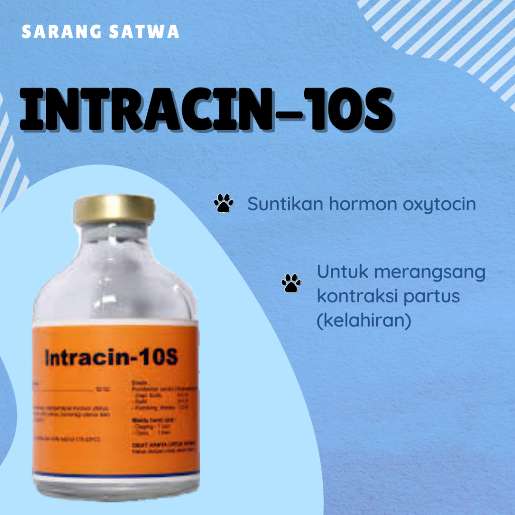 INTRACIN 10S HORMON PERANGSANG KONTRAKSI UTERUS, KELENJAR SUSU HEWAN (OXYTOCIN)