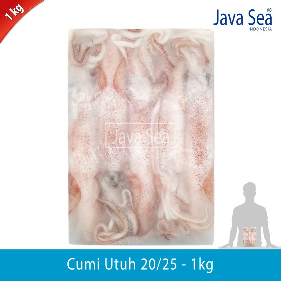 

JAVA SEA Cumi Utuh 20/25 pack 1kg