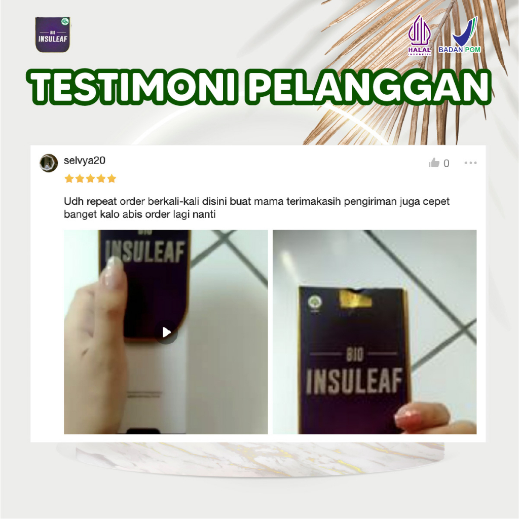 Bio Insuleaf Original Bantu Atasi Gula Darah DIabetes Paket 2 Botol Isi 250ml