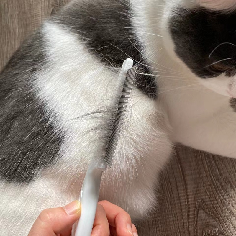 Sisir Kutu Kucing Dan Telurnya Grooming Hewan Serit Logam Gagang Panjang