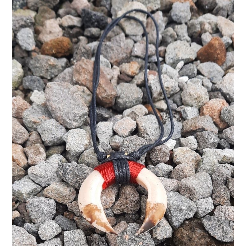 KALUNG TARING MACAN SEPASANG