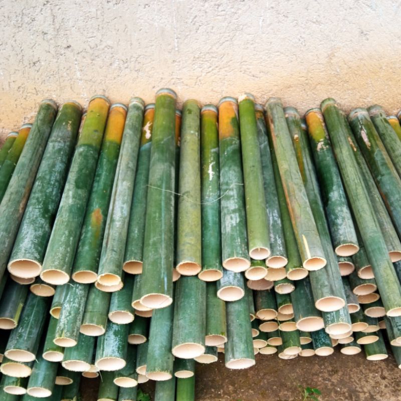 bambu tamiang/bambu lemang