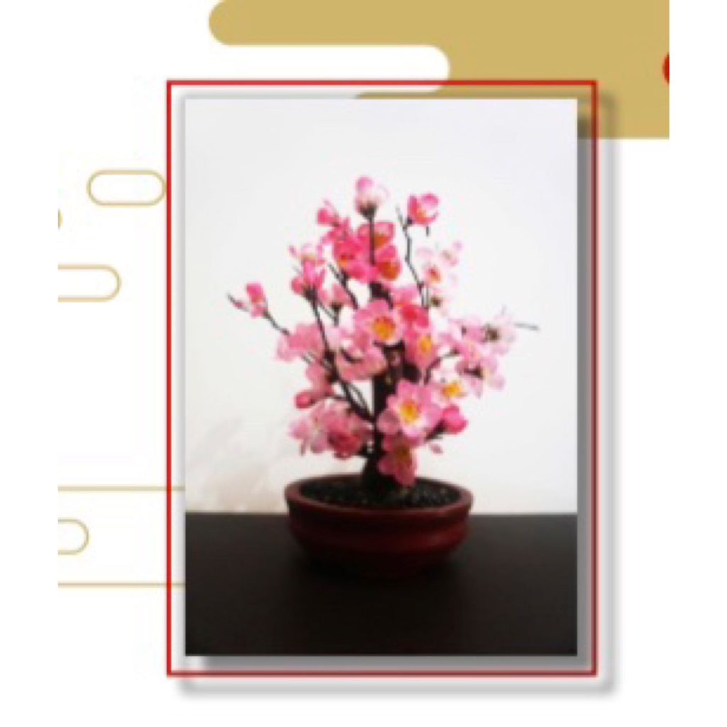 Pohon Bonsai Bunga Sakura Imlek Plastik Artificial / Pohon Angpao Bunga Sakura / Hiasan Imlek 25 Cm