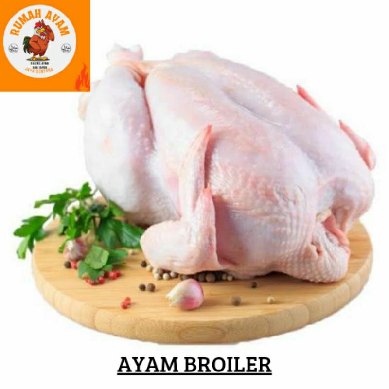 

AYAM BROILER 1 EKOR - UKURAN 1,2KG - 1,5KG - SEGAR - FRESH