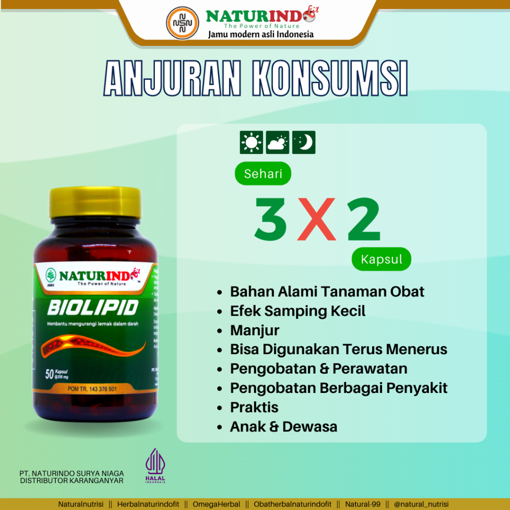 Obat Herbal Batu Empedu Daun Jati Cina Kapsul Jati Belanda Penurun Kolesterol Penurun Lemak Alami Biolipid