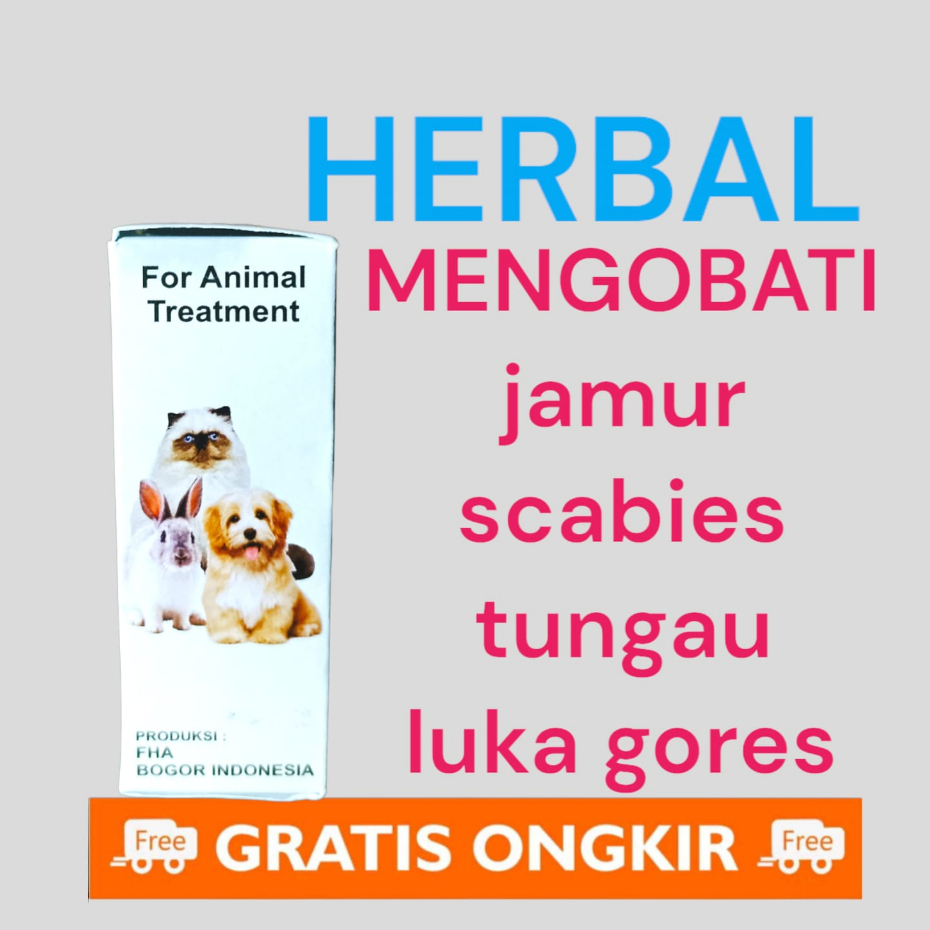 herbal mengobati jamur scabies tungau kucing anjing