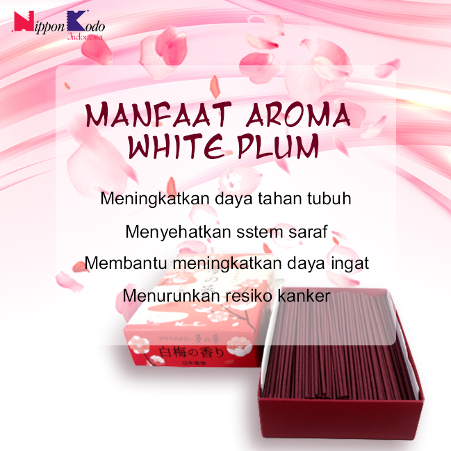 Dupa Wangi Aromaterapi White Plum Yume No Yume Nippon Kodo Jepang Big