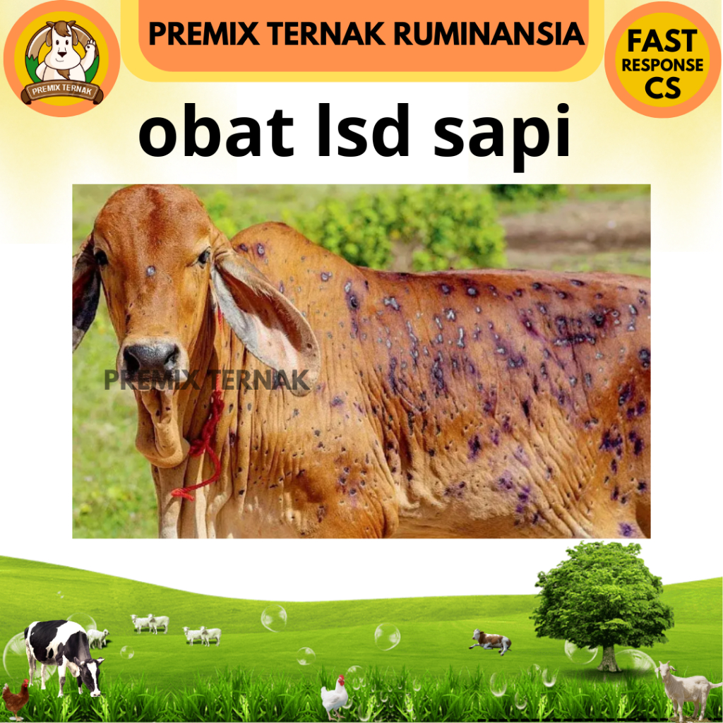 OBAT LSD SAPI AMPUH KOMPLIT - OBAT PENYAKIT KULIT SAPI LSD LUMPY SKIN DESEASE - OBAT SAPI LSD - OBAT