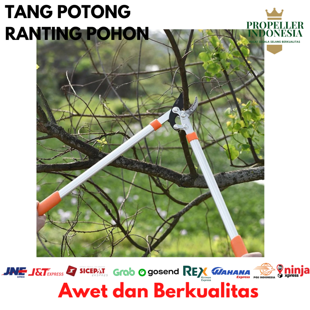 Gunting Dahan Ranting Pohon 53CM Bercabang Tebal Gunting Tanaman Kebun