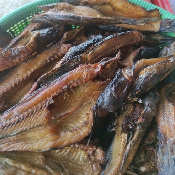 

ikan salai betutu 250 gr