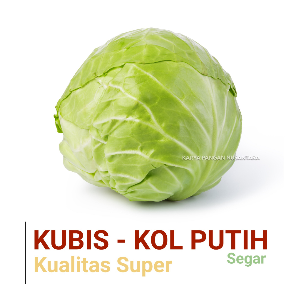 

SAYUR KUBIS KOL PUTIH SEGAR KUALITAS SUPER PER BUAH