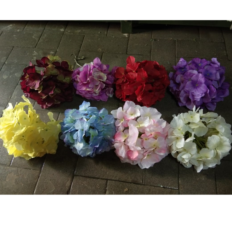 HORTENSIA HYDRANGEA PER PCS (KUNTUM SAJA)