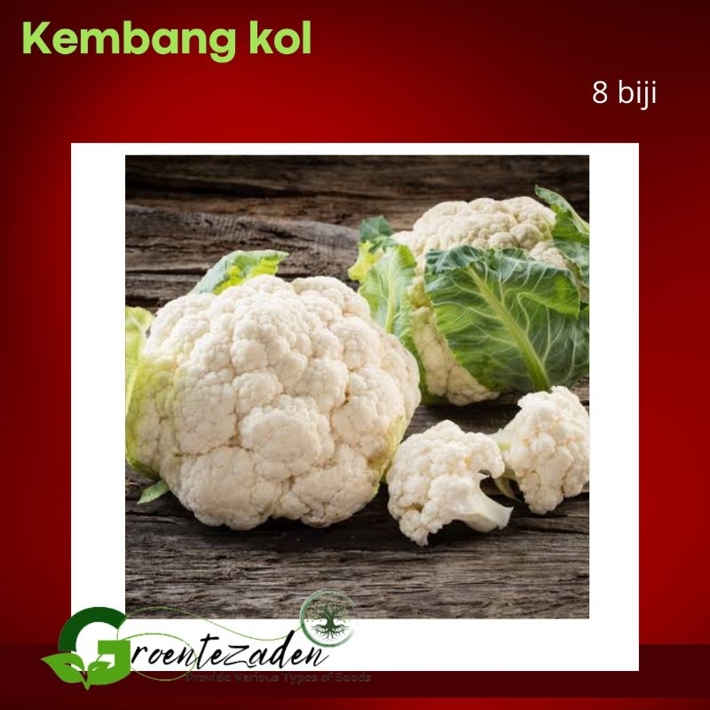 8 Benih Biji Bunga Kol Kembang Kol F1 Snow White Known You