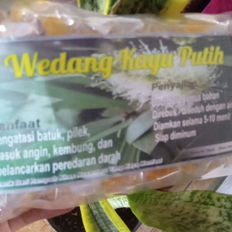 10pcs Wedang Kayu Putih tinggal seduh