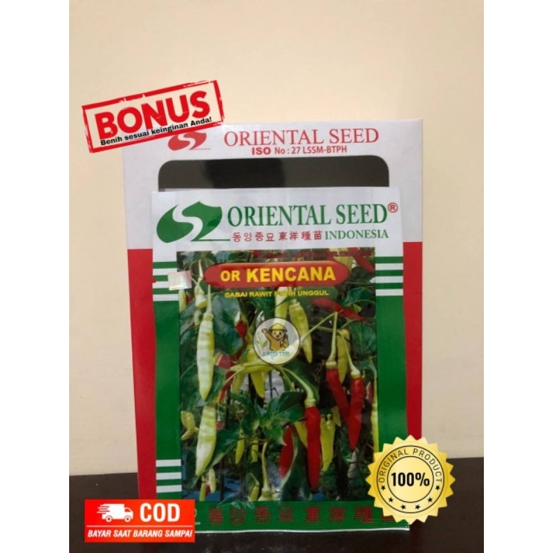 Benih Cabe Rawit OR Kencana dari Oriental Seed