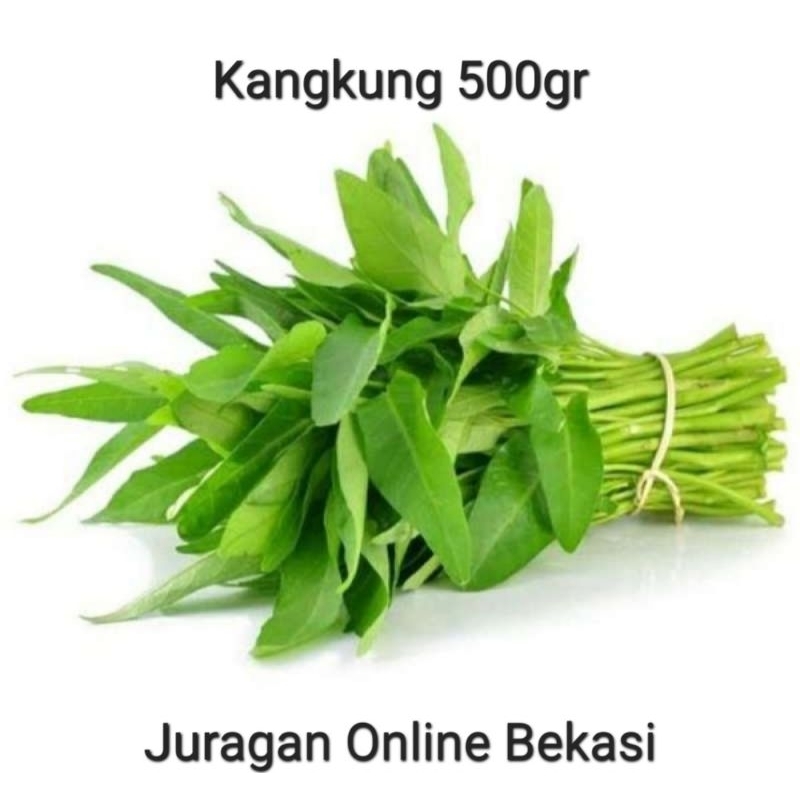 

KANGKUNG FRESH [500gr]