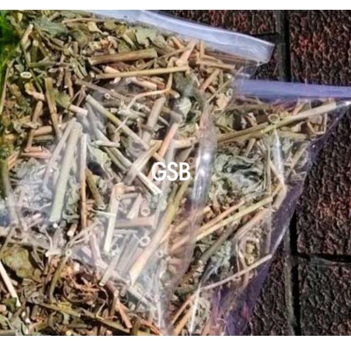 

Daun patikmas kering daun katemas kering herbal diet paket hemat