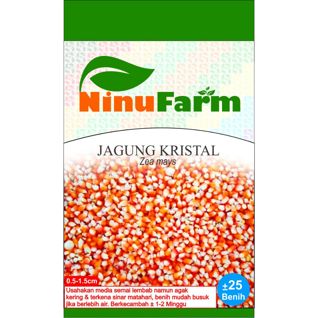 Benih Jagung Kristal 25Seeds