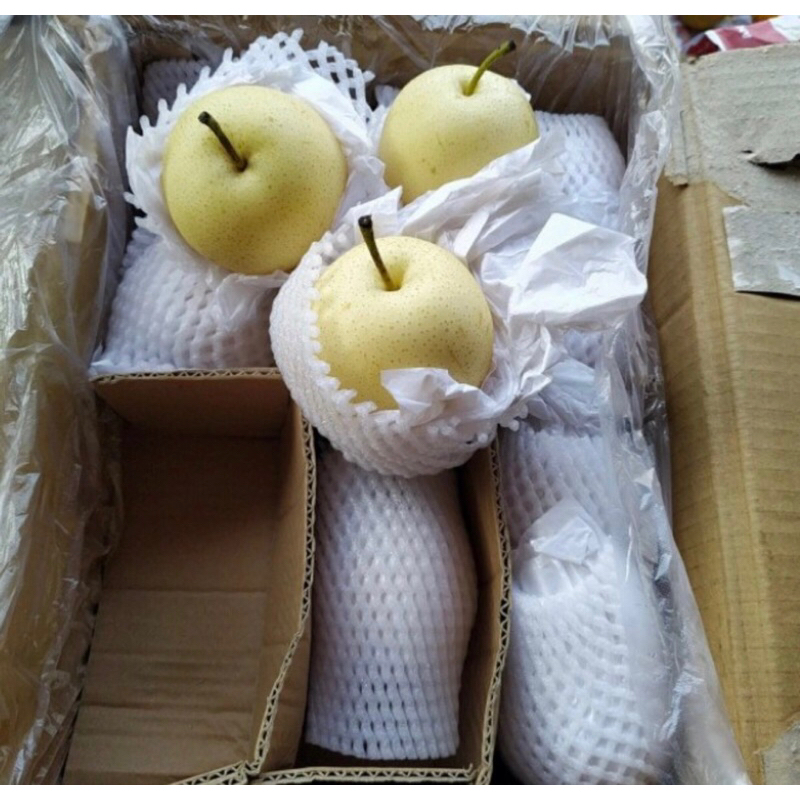 

Buah Pear sweet Manis Segar 1 kg