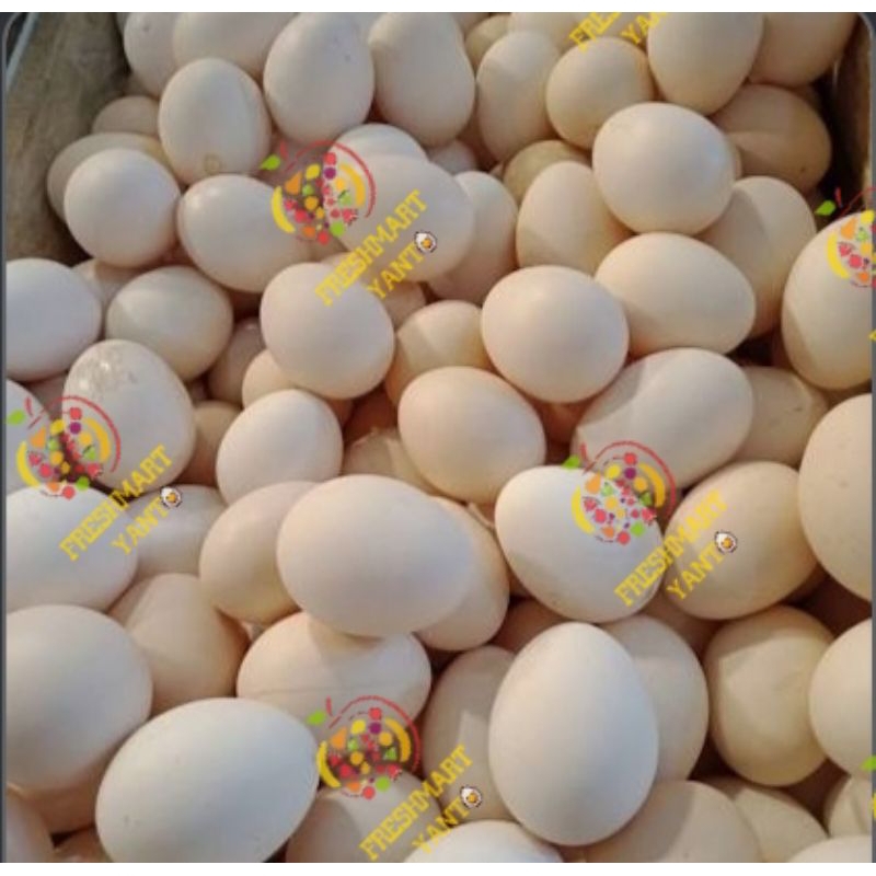

Telur ayam_kampung mentah
