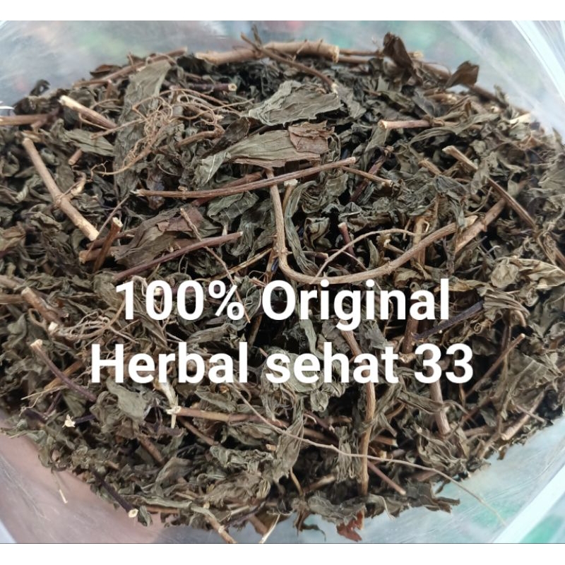 

kumis kucing kering organik premium asli 100% herbal untuk melancarkan kencing dan batu ginjal