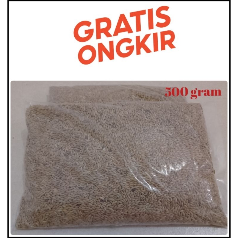 PAKAN BURUNG KENARI SEED     kenariseed kenari seed biji canary biji kenari harian  500 GRAM UNTUK K