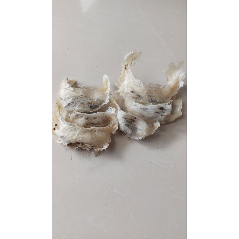 

Sarang Walet Sudutan (Original Tanpa Pencucian)
