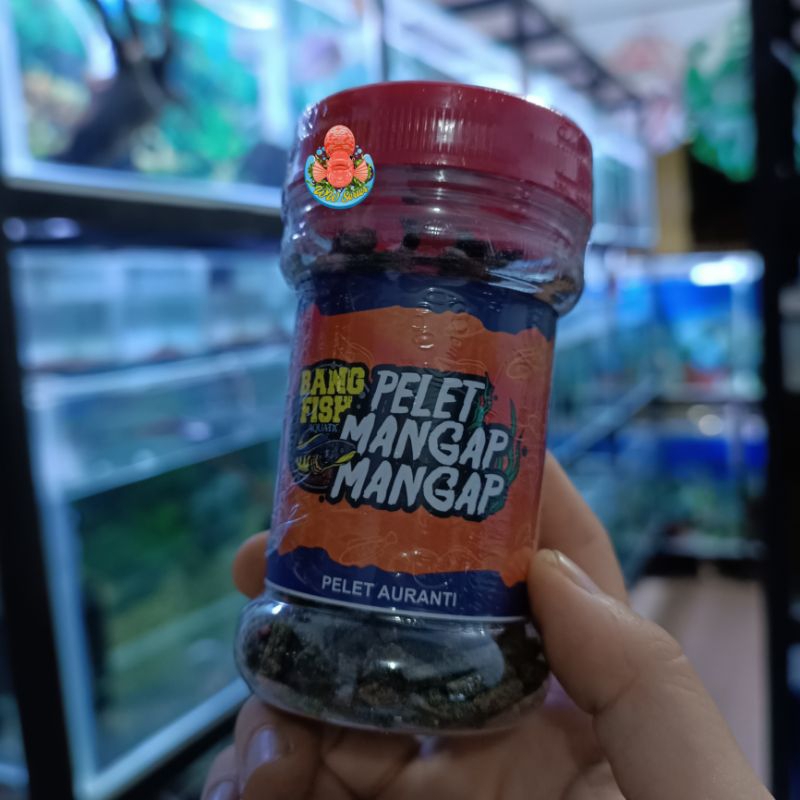 PELET AURANTI MANGAP MANGAP 50gram 70gram - BANG FISH AQUATIC PAKAN CHANNA IKAN MAKANAN PELLET AURAN