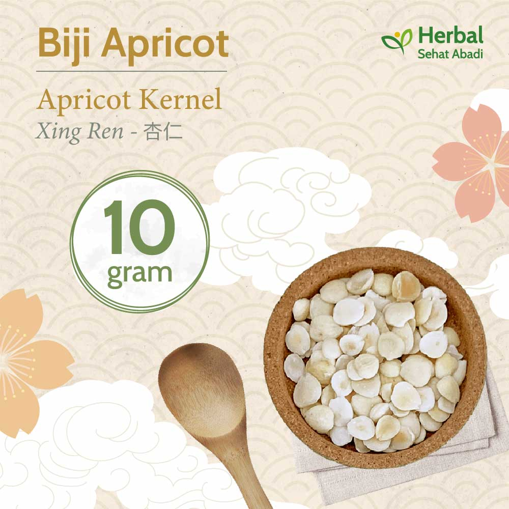 

Apricot Kernel 10 gram / Xing Ren (杏仁) / Biji Apricot