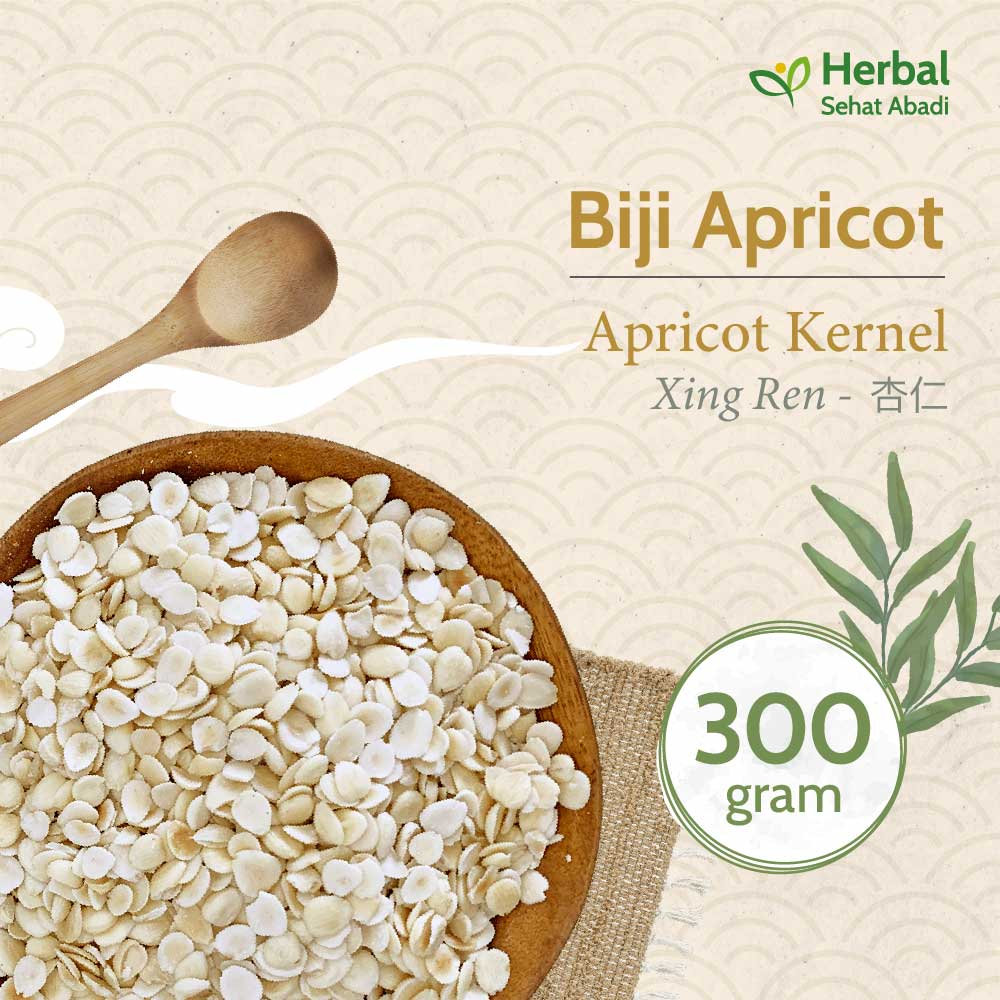 

Apricot Kernel 300 gram / Xing Ren (杏仁) / Biji Apricot