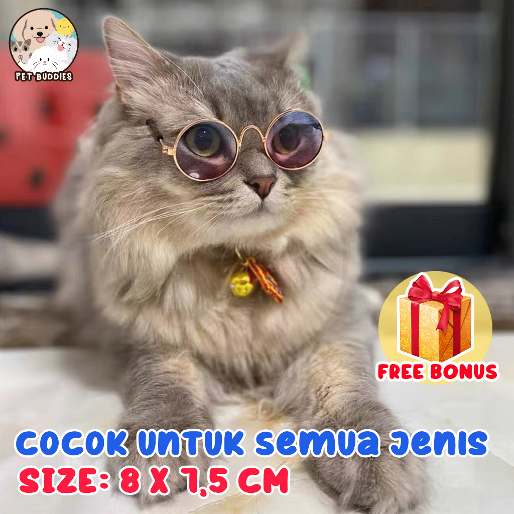 Kacamata Viral Pet Glasses Kucing/Anjing Lucu Foto