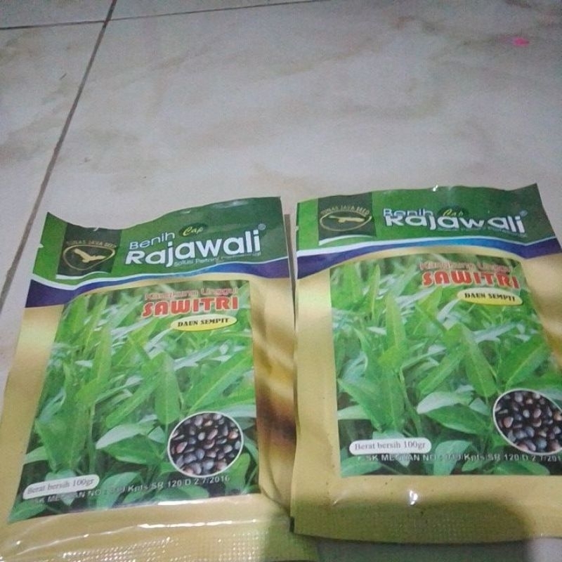 benih kangkung rajawali