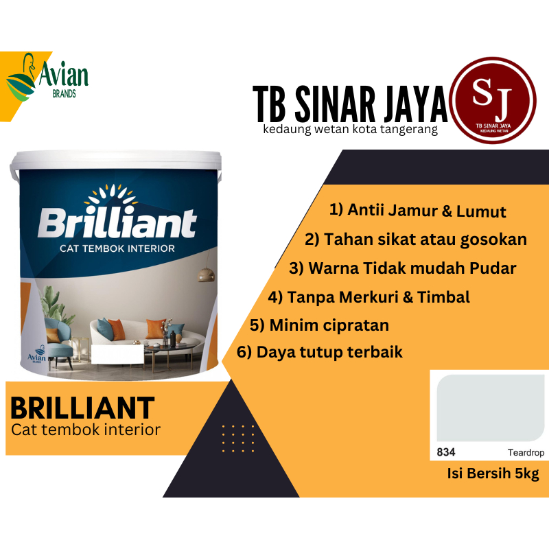 Brilliant Cat Tembok Interior Tembok Rumah Isi 5kg - 834 Teardrop