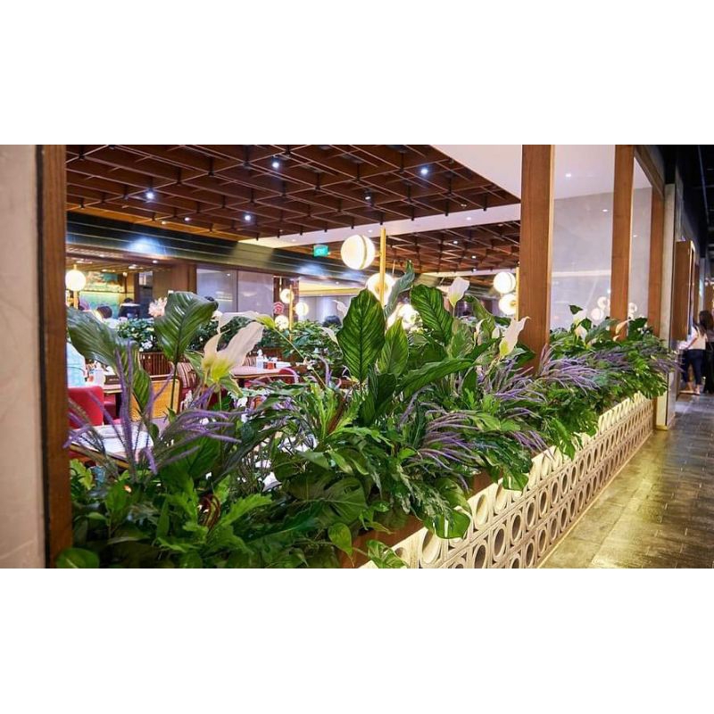 pohon partisi sekat ruangan bunga plastik dekorasi artificial