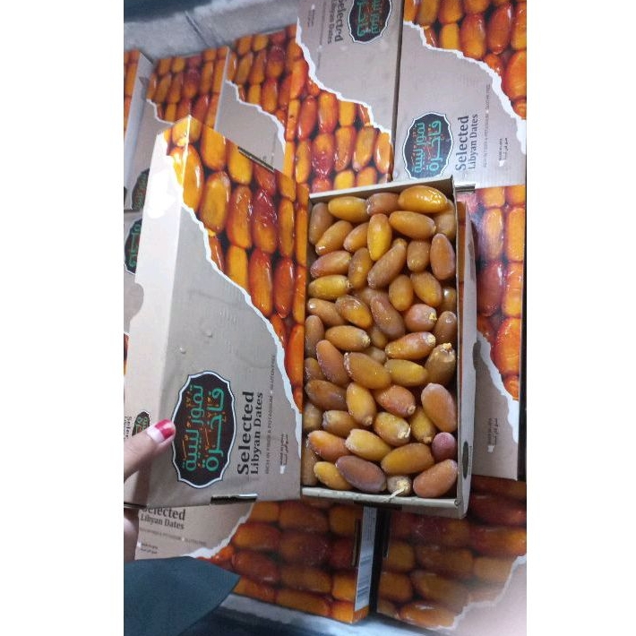 

kurma ruthob Libya hanya gosend samday