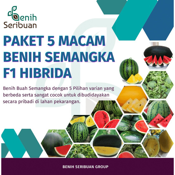 Bibit Semangka Paket 5 Macam Benih Buah Semangka Non Biji Jumbo F1