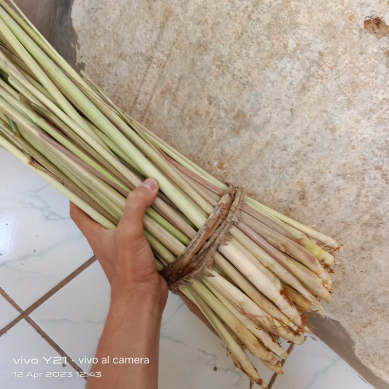 

sereh wangi segar fresh 500 gram