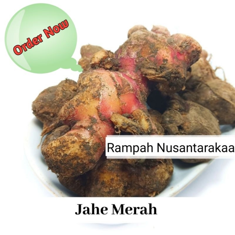 

Jahe merah besar kemasan 250 gram