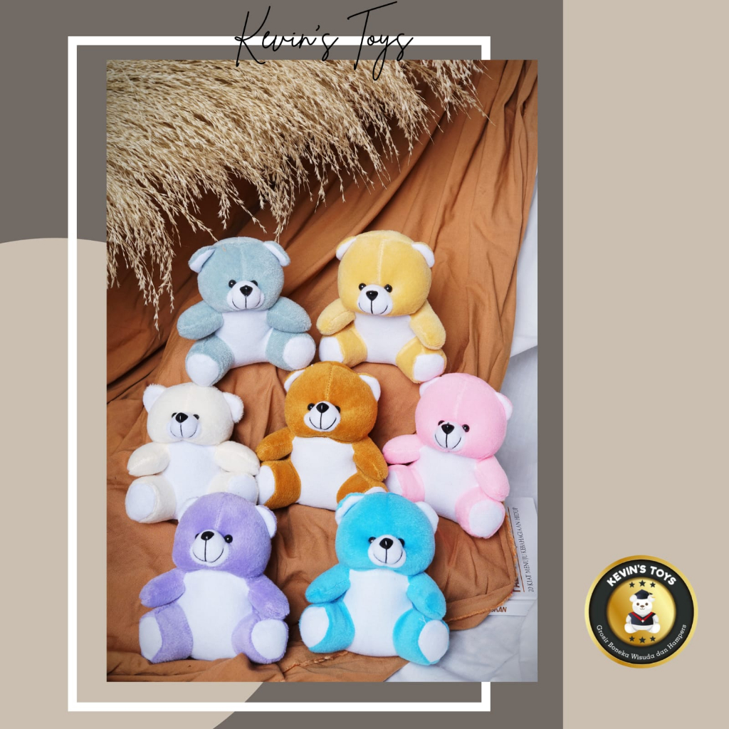 BONEKA WISUDA/HAMPERS/BONEKA BUKET 13 CM/BONEKA BERUANG KOMBINASI/BONEKA MINI