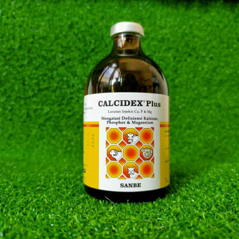 Calcidex 100 ml, obat sapi dan kambing lumpuh