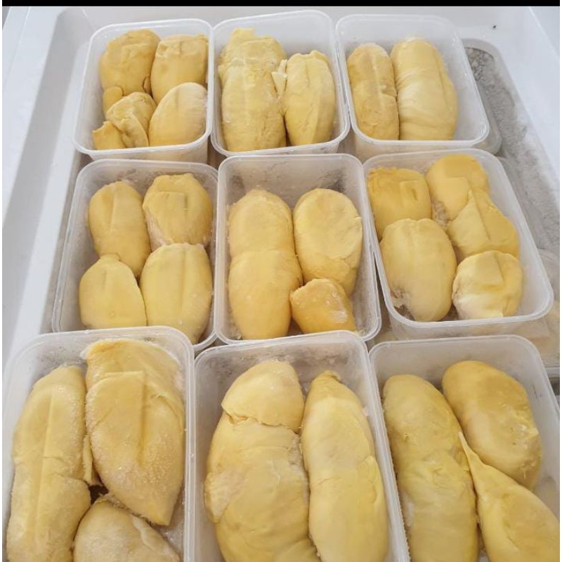 

Durian montong palu