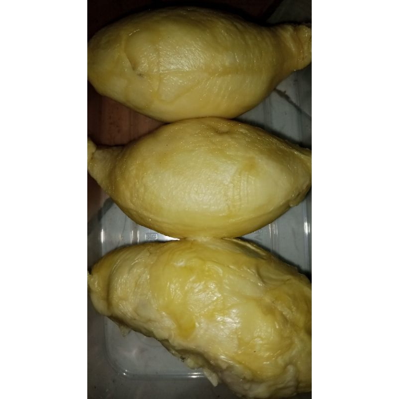 

durian Montong box 500 gram