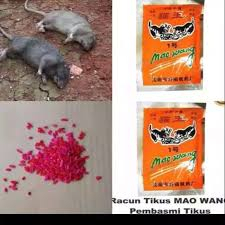[10 PCS] Mao Wang Racun Tikus Ampuh Pembasmi Tikus Bentuk Beras Merah