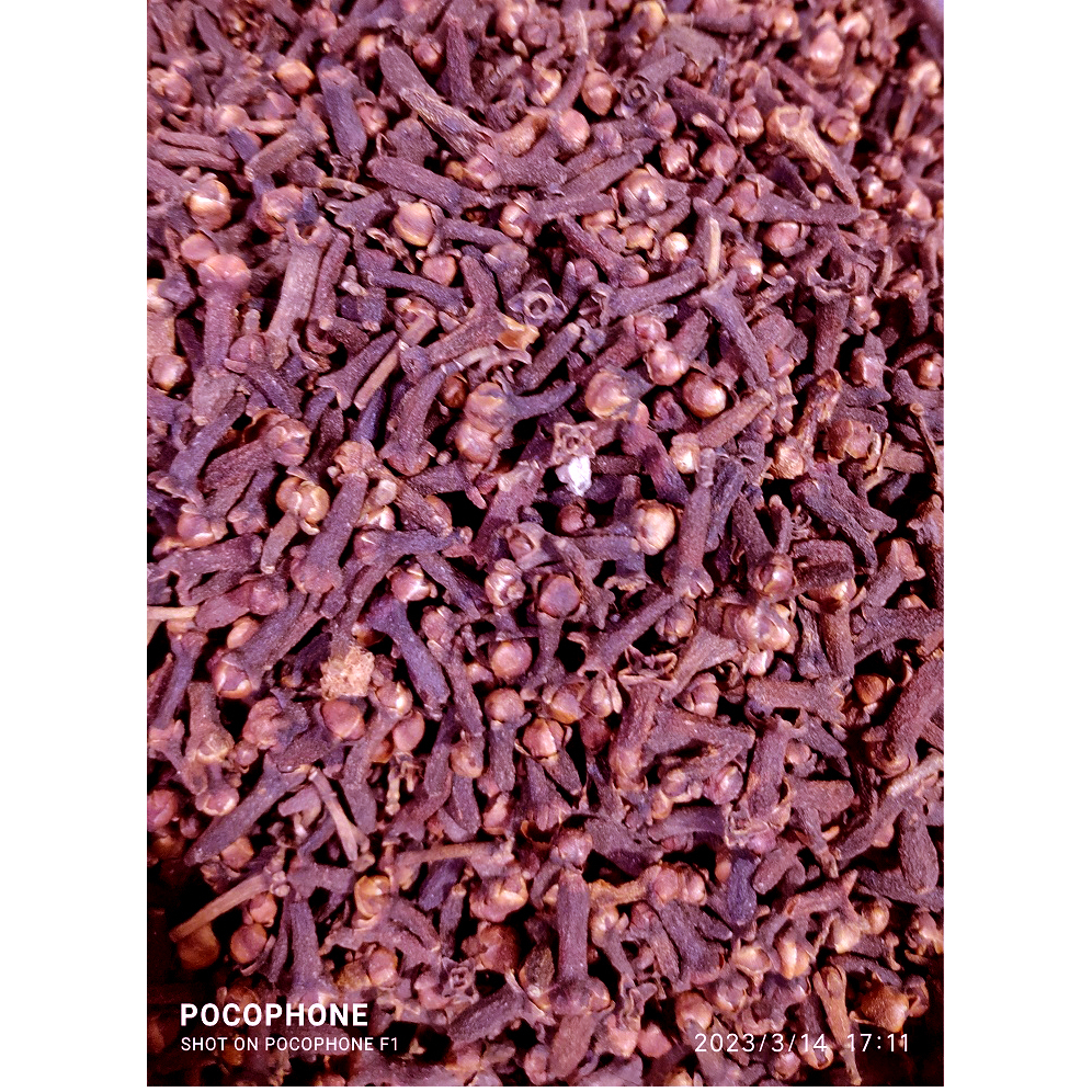 

Cengkeh Super / Cloves / Cengkeh Kering Asli / Rempah Kualitas Premium